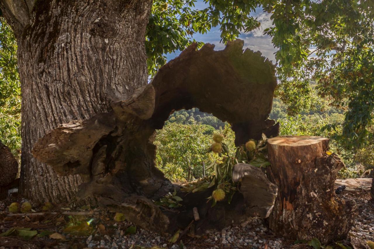 Casa Rural Castillo ハブゴ エクステリア 写真