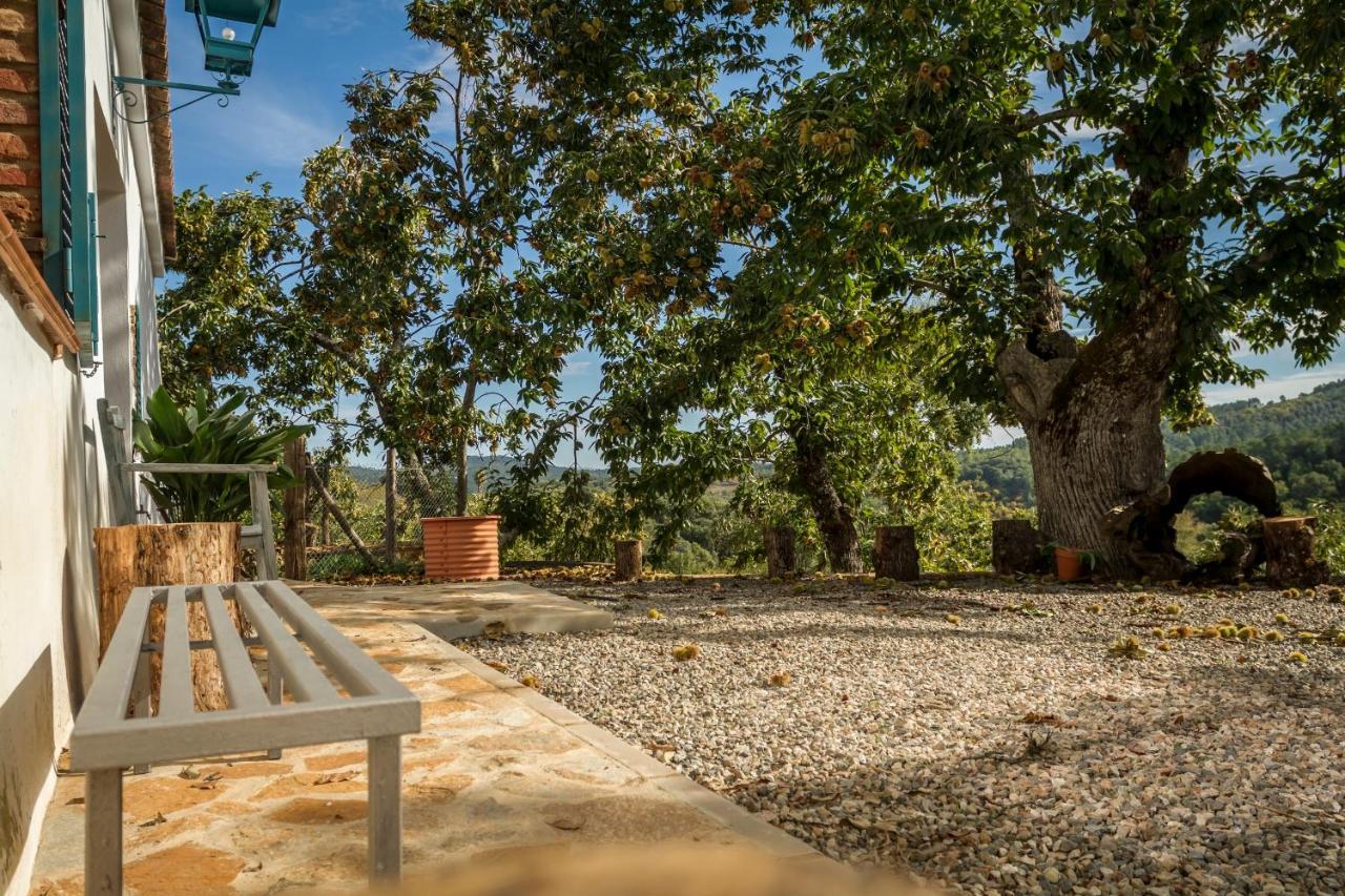 Casa Rural Castillo ハブゴ エクステリア 写真