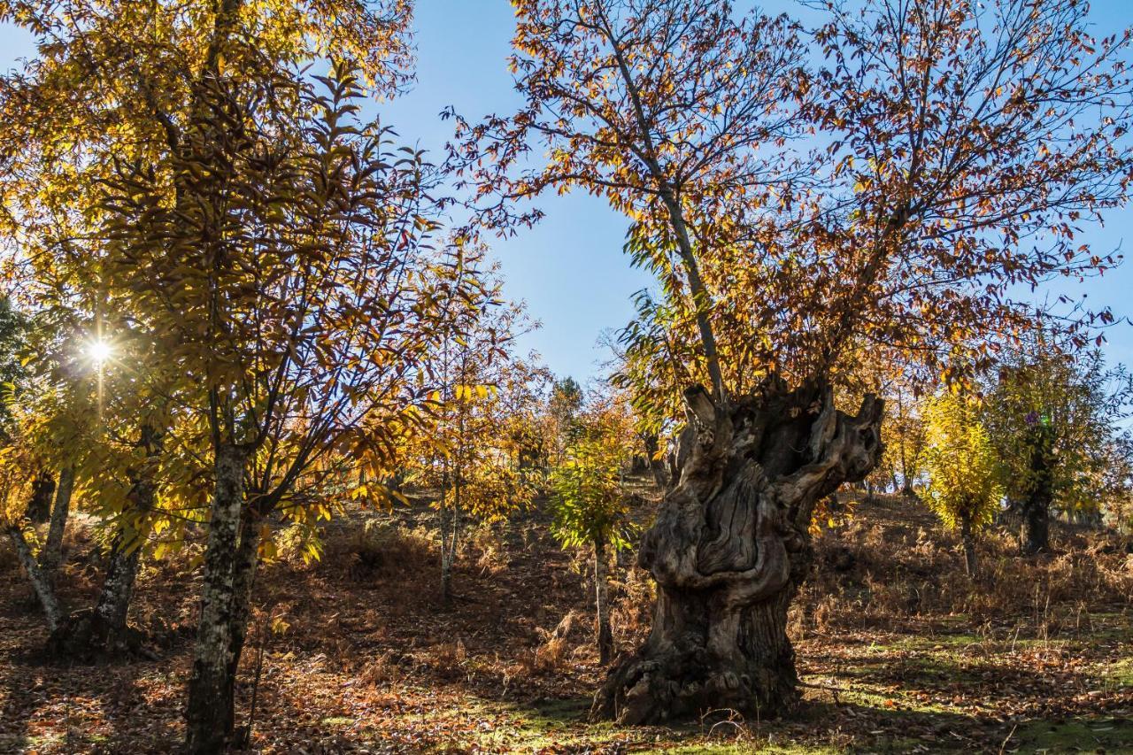 Casa Rural Castillo ハブゴ エクステリア 写真